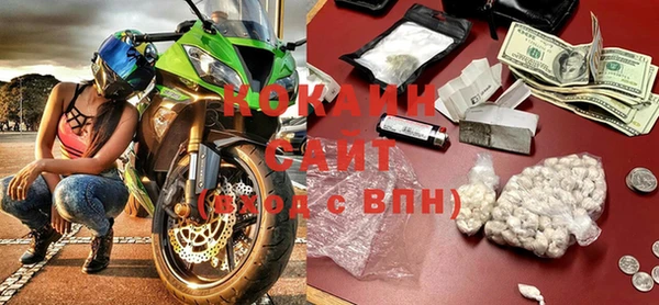 молекула духа Пестово