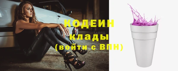 молекула духа Пестово