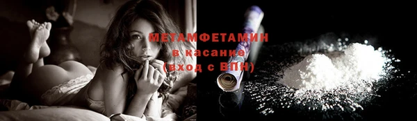ГАЛЛЮЦИНОГЕННЫЕ ГРИБЫ Пересвет