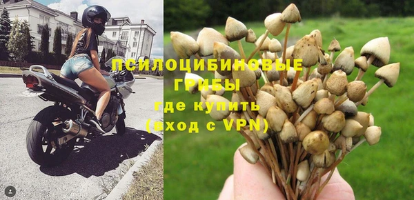 ГАЛЛЮЦИНОГЕННЫЕ ГРИБЫ Пересвет
