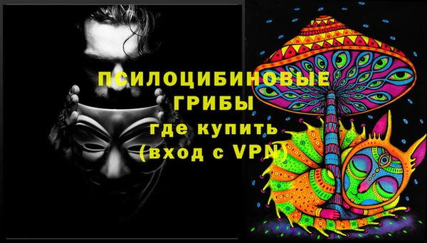 молекула духа Пестово