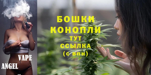 молекула духа Пестово