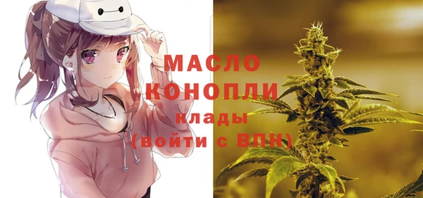 молекула духа Пестово